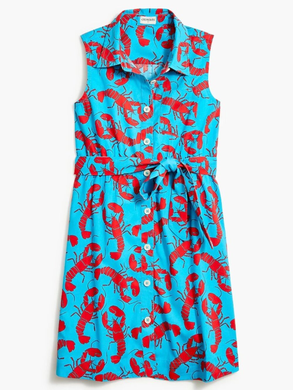 Lobster Dress Girls 14 Re-Imagined by J.Crew